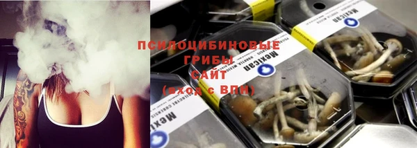мдпв Кукмор