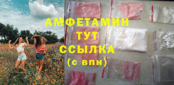 мдпв Кукмор
